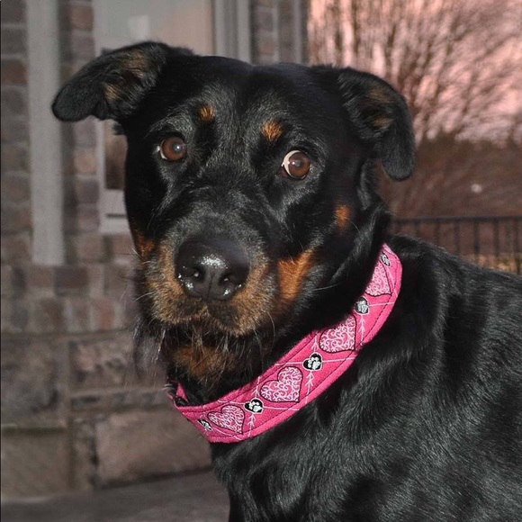 Meet your Posher, Michelle - Picture 1 of 1